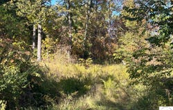 AB Highway, Lincoln, MO 65338