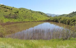 0 Dickenson Road, Santa Paula, CA 93060