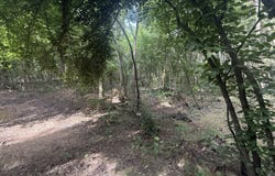2275 Graham Road, Thaxton, MS 38871