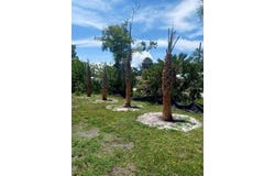 LIN GINA Terrace, EDGEWATER, FL 32141