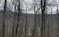 JONES RIDGE RD, Speedwell, TN 37870