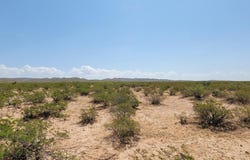 Sierra Blanca, TX 79851