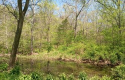 Timber Circle, Tunas, MO 65764