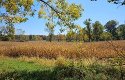 1 V/L Hoffman, Vandalia, MI 49095