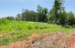 County Road 3440, Mountain View, MO 65548