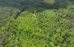 HWY 30 E, Baldwyn, MS 38824