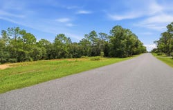 1345 E RAY Street, HERNANDO, FL 34442