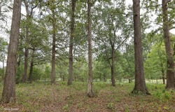CANNAL RD., Winnsboro, LA 71295