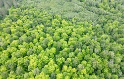 DAVID RD lot: 3, Gleason, WI 54435