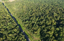 Adrian Hwy., Loris, SC 29569