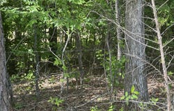 US Highway 278 E Tract A, Thaxton, MS 38871