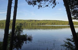74 Eagle Ridge Road, Lincoln, ME 04457