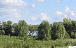 County Rd 20, Hanska, MN 56041