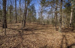 Whipporwill Lane, Choctaw, AR 72031