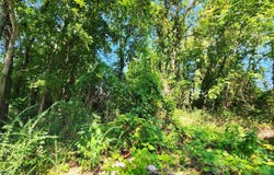 112 Lois Ln, Mount Ida, AR 71957-9999