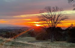 Buggy Whip Dr., Coarsegold, CA 93614