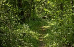 Belle Gardner Road, Amite, LA 70422