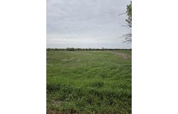 V/L E STEVENSON LAKE, Clare, MI 48617