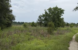 State Road, Holly Hill, SC 29059