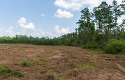 PID # 17166 Old Hwy 59, Lufkin, TX 75901