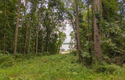 6000 McIntire Court, Tipton, MI 49287