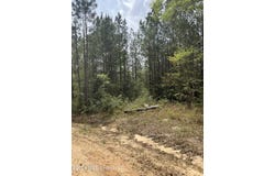 21 Range Line Road, Perkinston, MS 39573