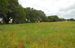County Road 488, Ranger, TX 76470