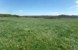 Friars Hill Rd, Trout, WV 24991