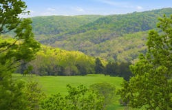 Meadowview Lane lot: 2, Saddlebrooke, MO 65630