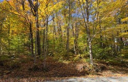 11 Ledge Road, Dover, VT 05356