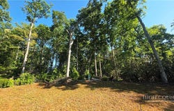 Pine Tree Drive lot: 122, Spruce Pine, NC 28777