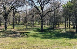446 CR 4001, New Boston, TX 75570