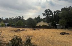 Bessie, Oroville, CA 95966