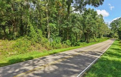Purvis To Baxterville, Purvis, MS 39475