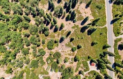 2-D-31 Snowline Dr., McCloud, CA 96057