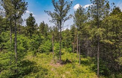 1 Bishop Road, Union, SC 29379