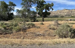 320 E 1350 S, Escalante, UT 84726