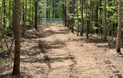 Co Rd 3022, Double Springs, AL 35553