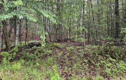 101 Gilsum Road, Sullivan, NH 03445