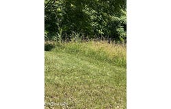 Bob Wright Lot 32 Rd, Maynardville, TN 37807