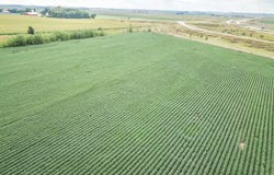 3368 Nest Ave, Sheldon, IA 51201