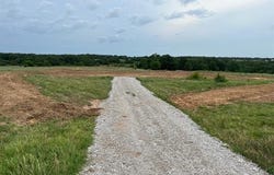 Wildflower, Healdton, OK 73463