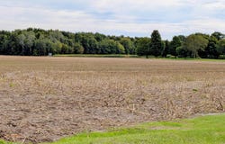 516 N Pingree Road, Sumner, MI 48801