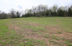 River Pass Drive lot: 6 & 11, Marshfield, MO 65706