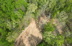000 Sugar Camp Road, Big Bend, WV 26136