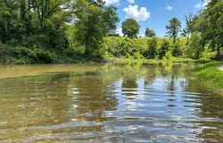 2072 Evening Shade Dr, Evening Shade, AR 72532