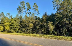 SW CR 49 lot: 4, Jasper, FL 32052