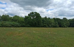 206 MEADOW VIEW DR, Mountain View, AR 72560