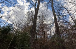 Saint John Road, Braxton, MS 39044