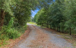 20051 E LEVY Street, WILLISTON, FL 32696